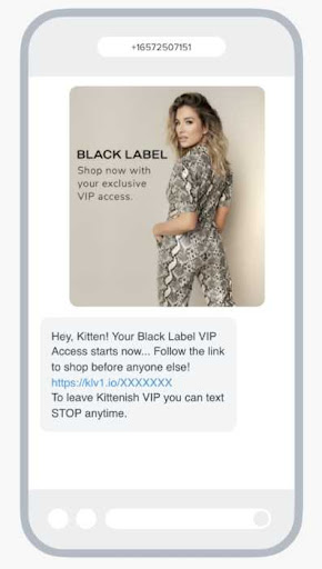 example of a VIP access promotion through an text message
