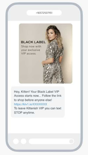 example of a VIP access promotion through an text message